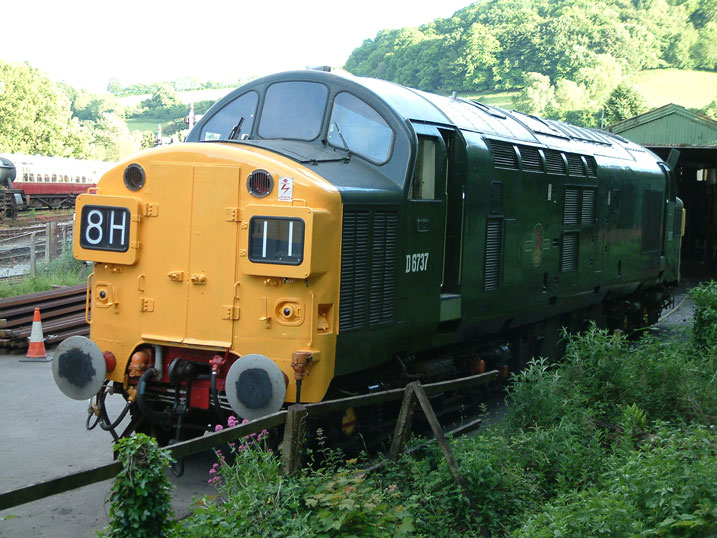 D6737 with yellow ends