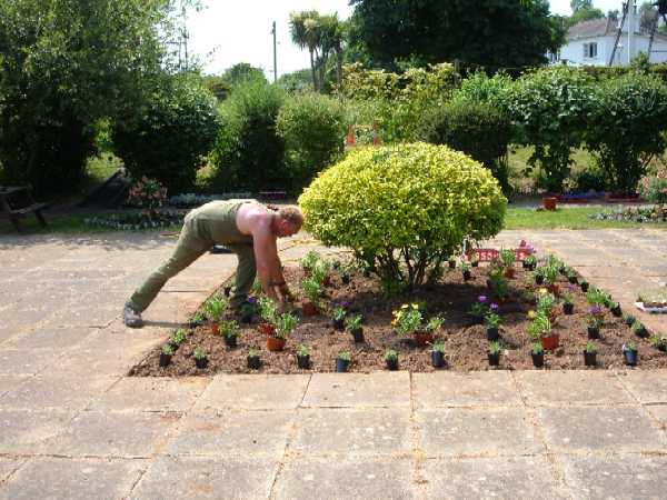 Buckfastleigh Gardens