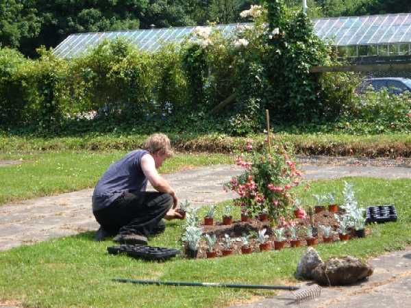 Buckfastleigh Gardens