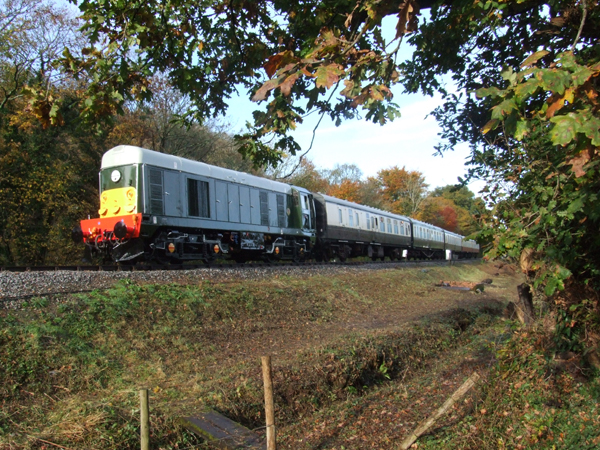 D8110 at Caddaford