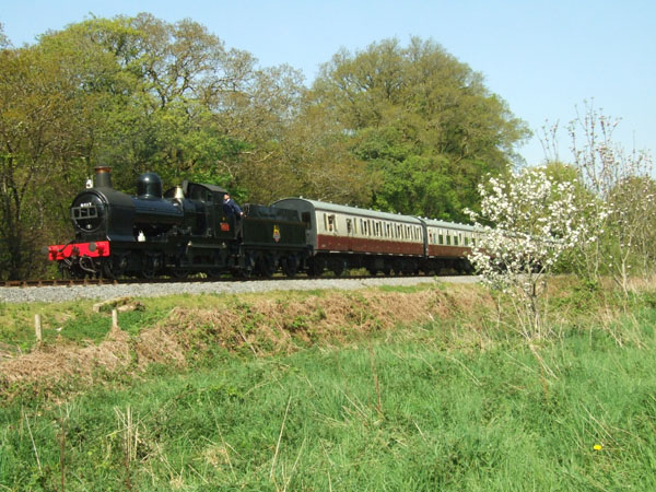 9017 at Caddaford