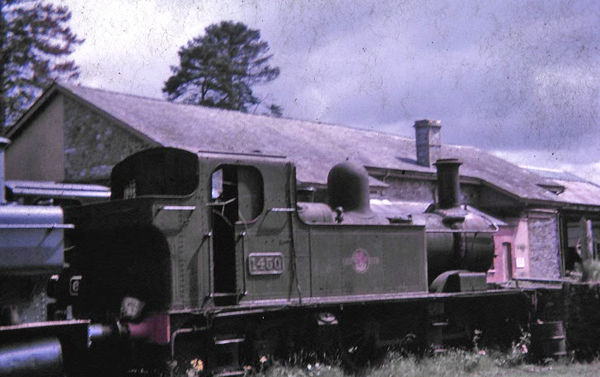 1450 at Buckfastleigh August 1966