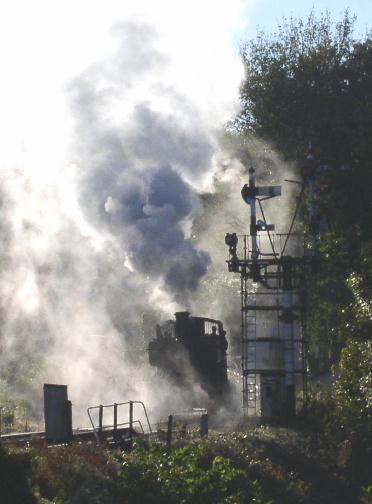 1369 climbing bank at Buckfastleih