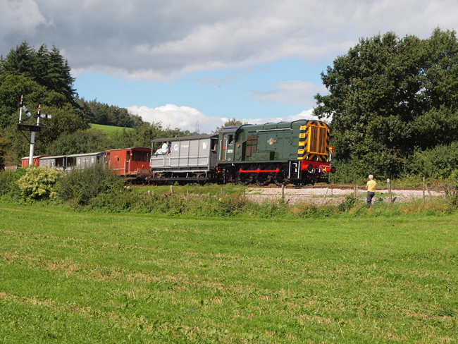 D3721 with brake van