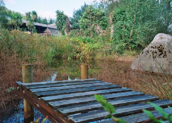 Board Walk