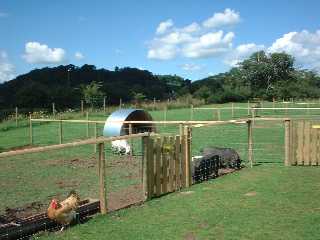 General view of farm